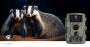 Nedis Wildlife Camera / 4K@10fps / 50 MPixel / 5 MPixel CMOS / IP65 / Black No-Glow IR / Night vision / Viewing angle: 60 ° / Motion sensor / Detection angle: 130 ° / Detection range: 20 m / Screen size: 2.4 " / LCD Screen / Brown / Green
