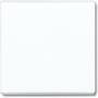 BUSCH JAEGER 2106-34 - White - 2000/6 US 2000/7 US 2000/6 USGL 2020 US 2020 US-201 2020 USGL 2020 USGL