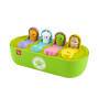 Mattel Fisher-Price FP Pets Pop-up-Aktivitätsspielzeug für Feinmotorik, entwicklungsförderndes Spiel