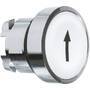 Schneider Electric DRUCKTASTER MIT PFEIL (ZB4-BA334)
