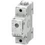 Siemens MINIZED D02 63A 1P (5SG7113)