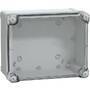 Schneider Electric INDUSTRIEGEH.225X175X120 (NSYTBS241912HT)