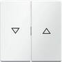 Berker 16256089 - White - Duroplast - 10 pc(s)