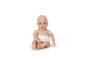 Zapf BABY born Windeln 5er Pack