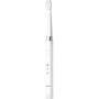 Panasonic EW-DM81 - Adult - Sonic toothbrush - 31000 movements per minute - White - Non-slip grip - Battery