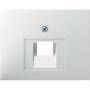 Berker ZENTRALPLATTE F. RJ45 1-FACH (14077009 PWS     K.1)