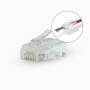 Nedis RJ45-Stecker / RJ45 Pass Through / Solid UTP CAT5 / Gerade / Vergoldet / 10 Stück / PVC / Transparent / Box