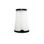 Electrolux EF150 2er-Pack Filter für ErgoRapido®