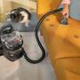 BISSELL Shampoonierer 132493 3911N SpotClean C9 Pro schwarz