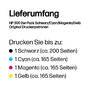 HP CN 637 EE Multipack schwarz/color No. 300 Druckerpatronen