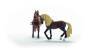 schleich®  HORSE CLUB 42738 Horse Club Paso Peruano Starter-Set