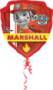 Riethmüller Europe GmbH SuperShape Paw Patrol Folienballon P38 lose 63 x 68 cm