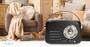 Nedis FM-Radio / Tragbare Ausführung / Bluetooth® / FM / Akkubetrieben / Stromversorgung über USB / Analog / 10 W / Bluetooth® / Schwarz