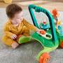 Mattel Fisher-Price Turtle Walker