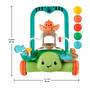 Mattel Fisher-Price Turtle Walker