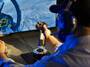 Thrustmaster F18 Hotas Stick AddOn Joysticks