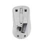 Asus Retail ASUS MD102             Maus wireless 1600dpi weiß (90XB0900-BMU010)