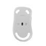 Asus Retail ASUS MD102             Maus wireless 1600dpi weiß (90XB0900-BMU010)