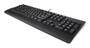 Lenovo TAS - Wired - Preferred Pro II USB Keyboard schwarz (4Y41R64596)
