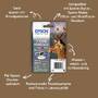 Epson Stag Singlepack Cyan T1302 DURABrite Ultra Ink - High (XL) Yield - 10.1 ml - 765 pages - 1 pc(s)