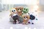 NICI Kuscheltier GLUBSCHIS Frosch Jummi
