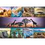 Trefl S.A. Puzzle 1000  Collage - Afrika