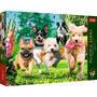 Trefl S.A. Puzzle Premium Plus 1000  Hunde