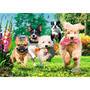 Trefl S.A. Puzzle Premium Plus 1000  Hunde
