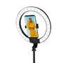 Logilink Smartphone-Ringlicht m.Selfie-Stick-Stativ,DM 20cm (AA0156)