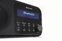 Sharp Digitalradio DR-P420 sw (DR-P420(BK))