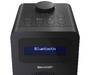 Sharp Radio DR430 DAB+, DAB, FM sw (DR-430(BK))