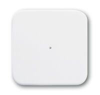 BUSCH JAEGER 6731-214 - Wall-mounted - RF Wireless - Wireless - 1 channels - 868 MHz - White
