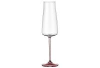 BOHEMIA CRISTAL Sektkelch Selection 'Alex' - 6 Stück