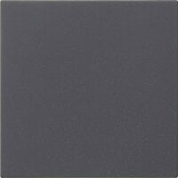 GIRA S3000 Bedienaufs. System 55 Anthrazit 536028