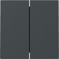 Gira WIPPE 2F SYSTEM 55 ANTHRAZIT (329528 SYSTEM 55)