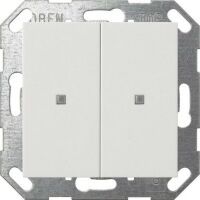 Gira KNX TASTER WIPPE 2F RWS (517303     SYSTEM 55)