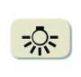 BUSCH JAEGER 2525 LI - White