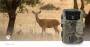 Nedis KAMERA WILDLIFE  4K  48M.PIXEL (WCAM250GN      BR/GN)