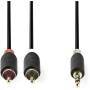 Nedis STEREO-AUDIOKABEL 3,5-2XRCA 2M (CABW22200AT20   ANTH)