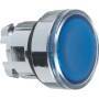 Schneider Electric DRUCKT.,FL.,BL,F.EINLEGES. TRA (ZB4-BA68)