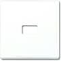 Busch-Jaeger ALLW. WIPPE OFFEN F.SYMBOL (2120-34)