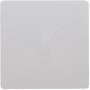 Berker S.1/B.X/Q.1 ZENTRALPLATTE (75940489)